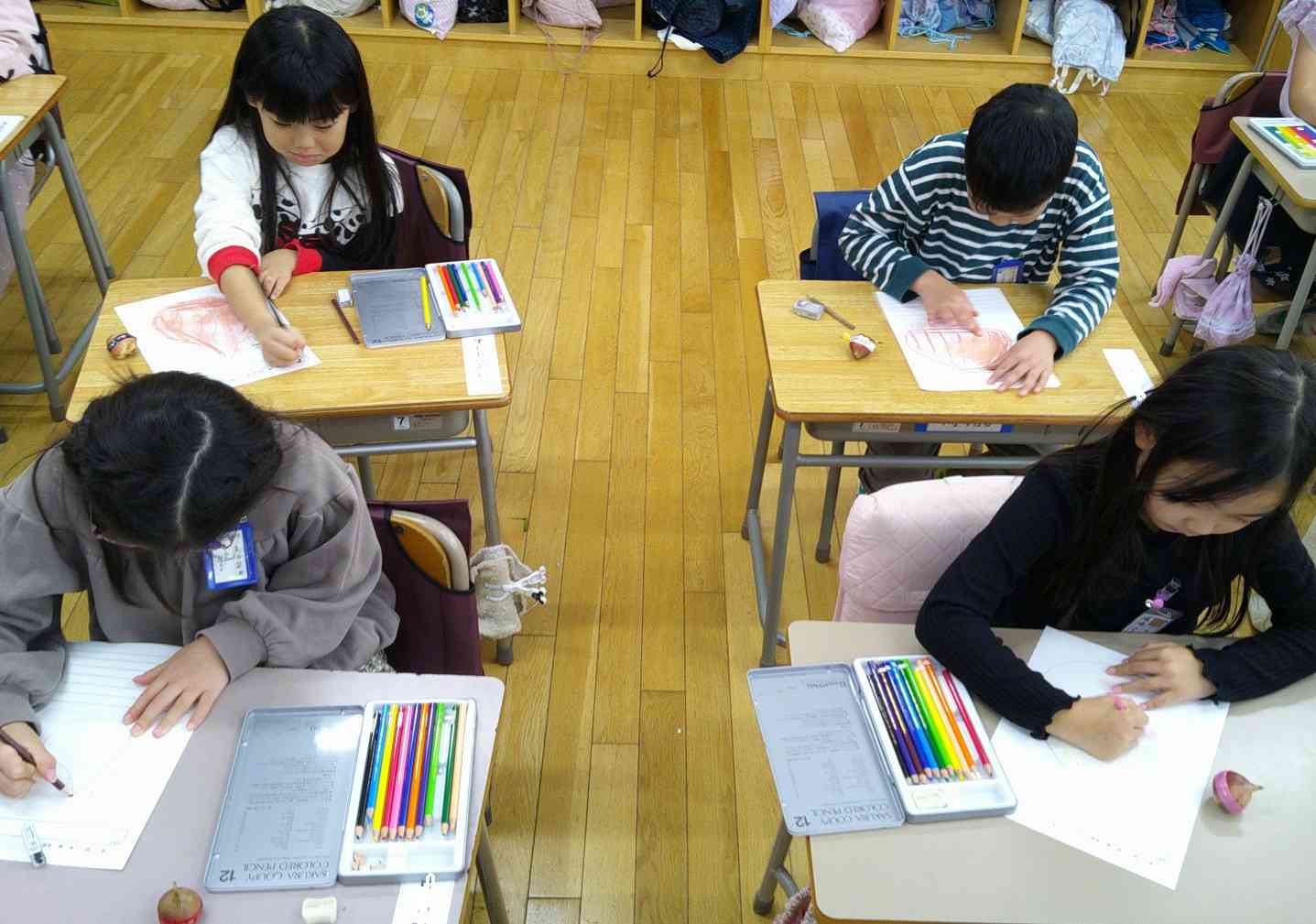 チューリップ１