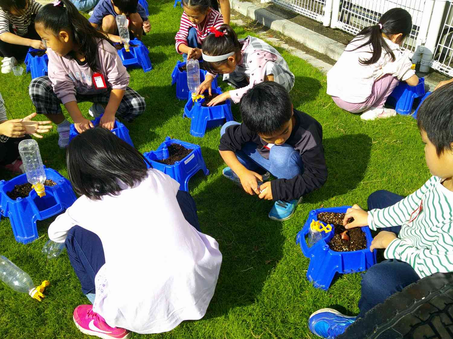 チューリップ３