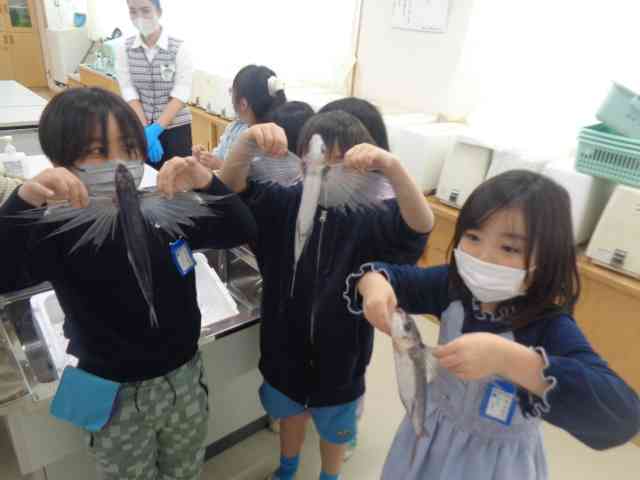 とびうおのはね