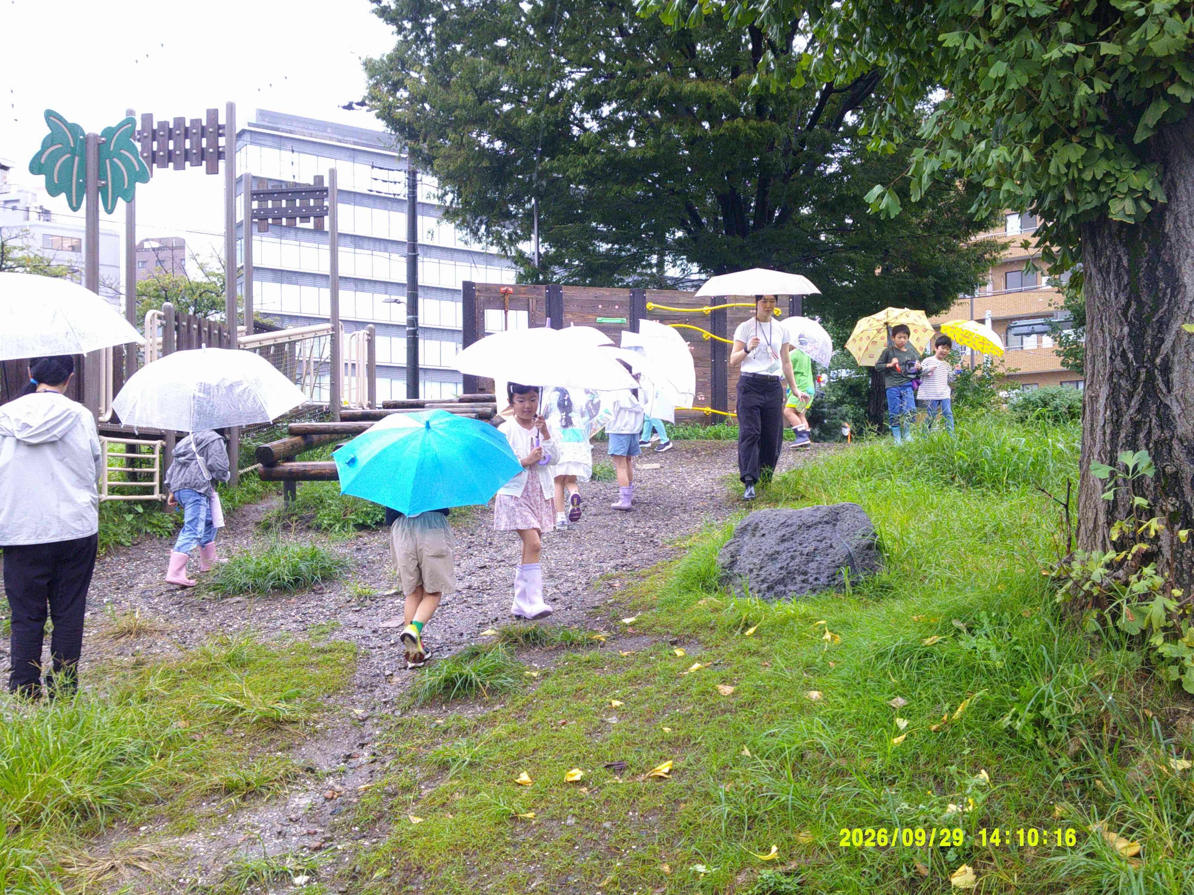 雨の日探検